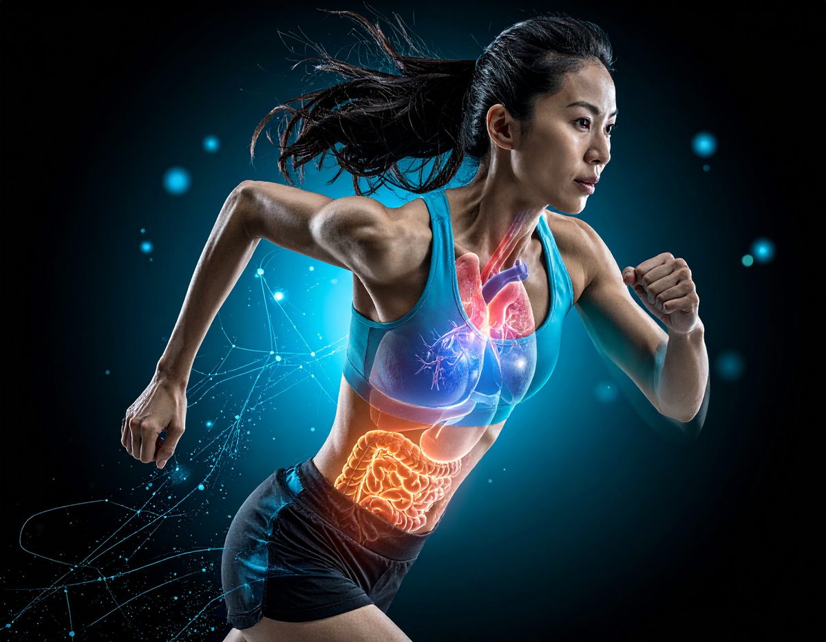VO2max en SCFA's: korteketenvetzuren en lactaatomzetting als microbiele onderlaag van uithouding